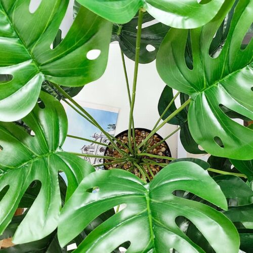 Aatwik Turtle Back Leaf Faux Plant