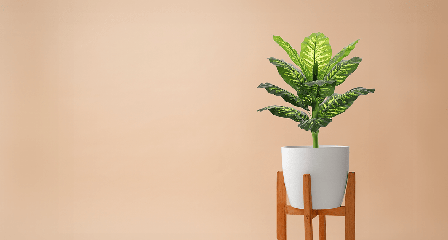 Faux plants collection